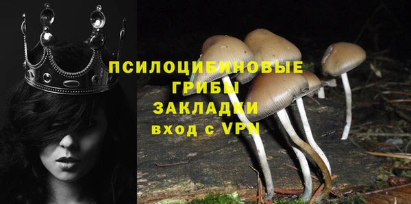 прущие крисы Бронницы