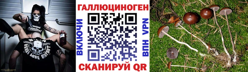 Купить где  Медвежьегорск  Псилоцибиновые грибы прущие грибы 